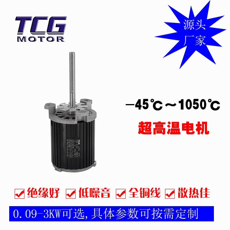 超高溫電機1(1)_副本.jpg